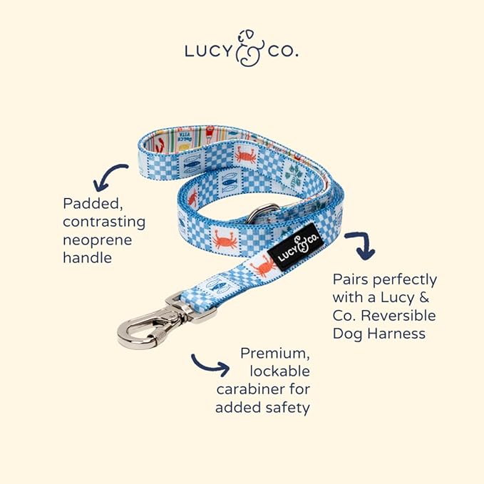 Lucy & Co. Sunny in Sicily Dog Leash, Durable Matching Dog Lead with Heavy Duty Hardware, Large