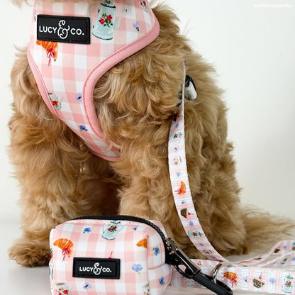 Lucy & Co. Sipping Slowly Dog Leash, Durable Matching Dog Lead with Heavy Duty Hardware, Large