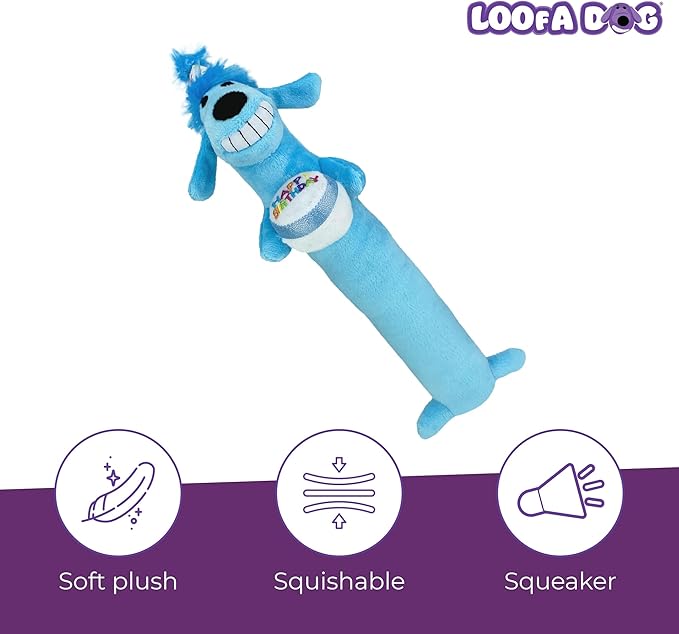 Multipet Loofa Dog Plush Toy w/ Birthday Hat - Squeaky Dog Toy for Dogs - Soft Plush - Stuffed Animal Dog Toys for Playing (1 Count, 12”, Random Color Surprise)