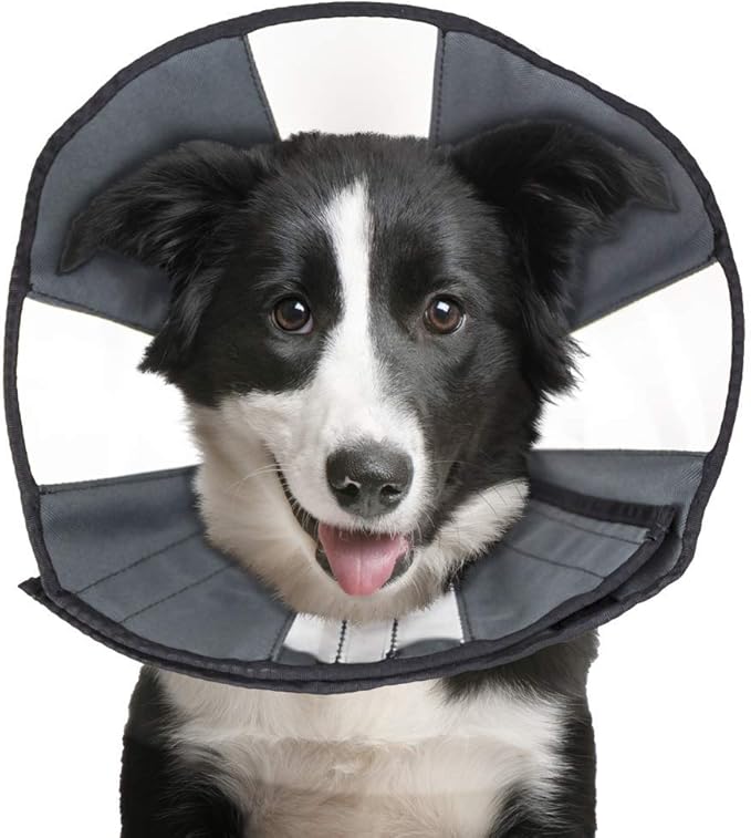 ZenPet Recovery Cone E-Collar for Dogs & Cats – Soft, Comfortable, Safe & Stress-Free Healing After Surgery, Adjustable Design, Secure Custom Fit (Large)