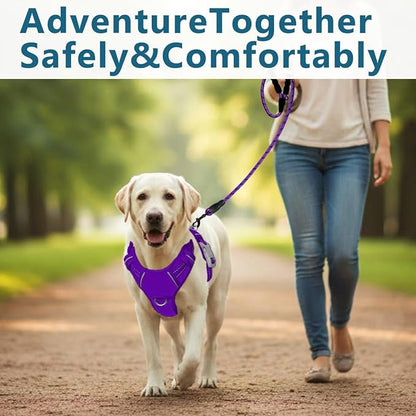 BARKBAY Dog Harness No Pull Oxford with ID Tag Pocket - Heavy Duty, Reflective, Easy Control for Large Dogs(Purple Oxford,M)