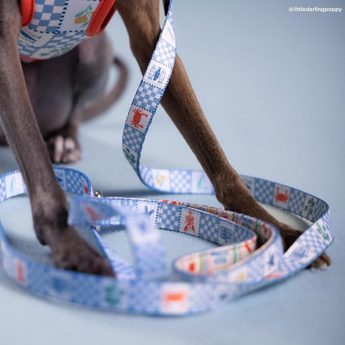 Lucy & Co. Sunny in Sicily Dog Leash, Durable Matching Dog Lead with Heavy Duty Hardware, Large