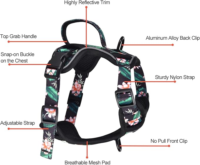 Petmolico Dog Harness for Small Dogs, Cute Harness Vest with Two Leash Clips and Soft Handle, Reflective Easy Walk Puppy Vest - Black Lotus, X-Small