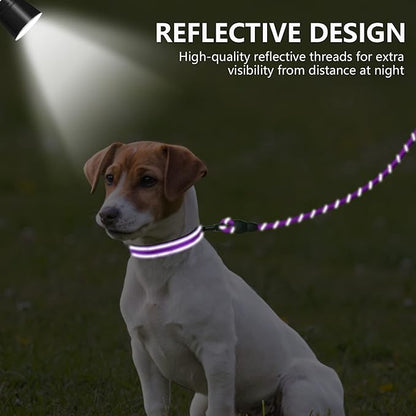 Dynmeow Reflective Dog Collar and Leash Set, 6FT Strong Climbing Rope Leash with Padded Handle, Adjustable Pet Collar with Soft Neoprene Padding for Puppy Small Dogs, Purple, Xs