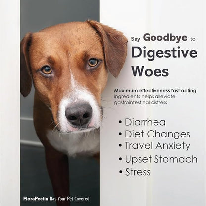 Oral Paste for Dogs & Cats-Helps Reduce Occasional Loose Stool & Diarrhea, Balance Gut pH, Support Normal Digestion & Intestinal Flora-Fast Acting (60 CC - Tasty Chicken Flavor)