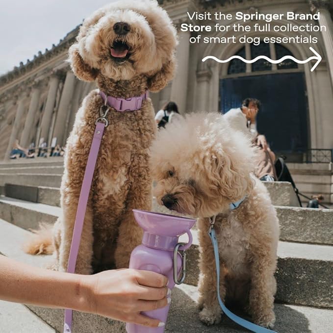 Springer Dog Water Bottle | Portable Travel Water Bottle Dispenser For Dogs - As Seen on Shark Tank | Patented, Leak-Proof Bottles Fill Bowl With Water - Ideal for Walking | BPA-Free 15oz Blue