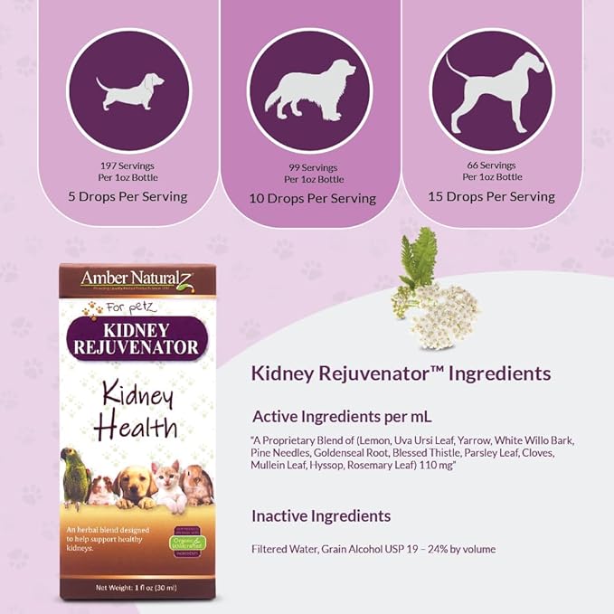 Amber NaturalZ Kidney Rejuvenator Herbal Supplement for Dogs, Cats, Birds, Rabbits, and Guinea Pigs | Supports Normal Kidney Function | Natural Aid for Kidney Health 1 Fluid Ounce
