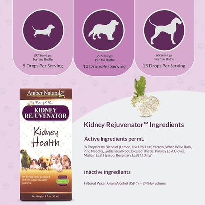 Amber NaturalZ Kidney Rejuvenator Herbal Supplement for Dogs, Cats, Birds, Rabbits, and Guinea Pigs | Supports Normal Kidney Function | Natural Aid for Kidney Health 1 Fluid Ounce