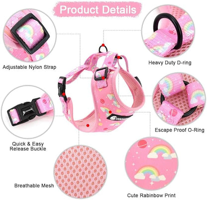 Dog Cat Harness and Leash Set, Puppia Soft Mesh Padded and Adjustable Puppy Vest Cute Dog Clothes Escape Proof Easy Walk Pet Accessories