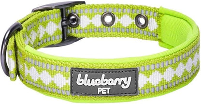 Blueberry Pet Reflective Jacquard Dog Collar with Neoprene Padding & Metal Buckle | Soft & Adjustable Safety Collar - Macaw Green, Neck 9-12.5", for Small Breed