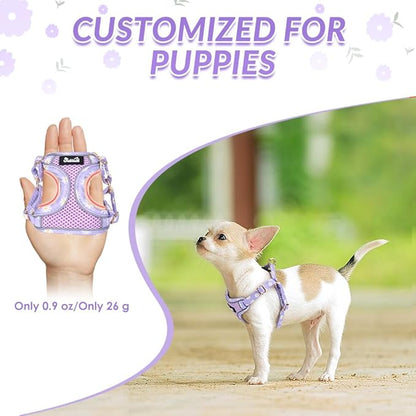Lukovee No Pull Puppy Harness and Leash Set - Soft Lightweight Escape Proof Puppy Vest Harness, Breathable Adjustable Pet Harness with Dog Leash for Small Dogs (Purple, XS)