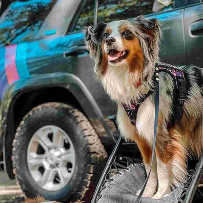 AUROTH Tactical Dog Harness for Large Dogs No Pull Adjustable Pet Harness Reflective Working Training Easy Control Pet Vest Military Service Dog Harnesses Purple Camo XXL
