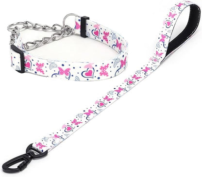 Martingale Dog Collar and Leash Set, Stainless Steel Chain, No Pull Training Collar with Flower Design, for Small, Medium, Large Dogs (NO13, L)