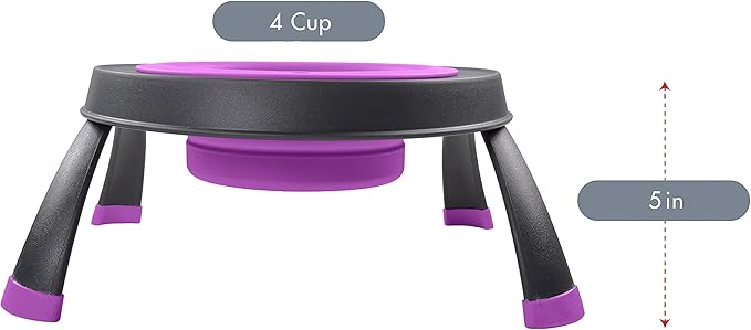 Dexas Pets Single Elevated Pet Feeder/Pet Bowl, 4 Cup Capacity, Fuchsia, Large/4 Cup Capacity