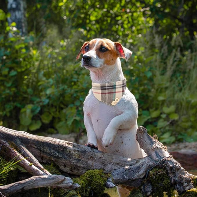 EXPAWLORER Dog Collar and Leash Set - Classic Plaid Dog Bow Tie and Dog Bandana Collar, Dog Leash Tangle Free, Adjustable Collars for Small Medium Large Dogs Cats, Holiday Ideal Gift