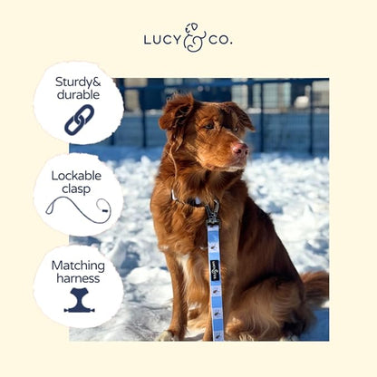 Lucy & Co. Bumbling Around Dog Leash, Durable Matching Dog Lead with Heavy Duty Hardware, Large