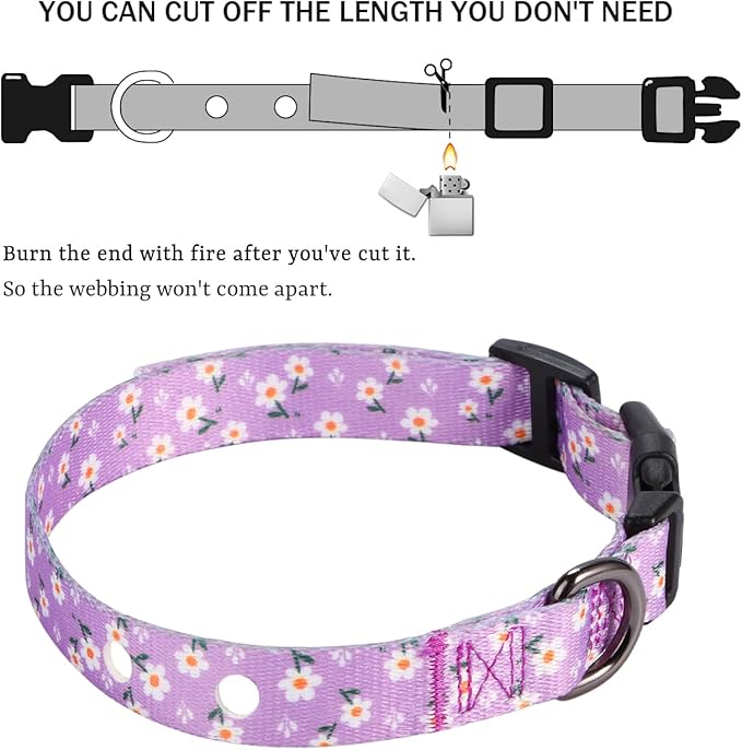 Rhea Rose 3/4 Inch Replacement Collar Strap Shock Collar with 2 Holes, Compatible with Nearly All Brands and Models of Underground Electric Dog Fences and Training Collars, Lavender Flowers
