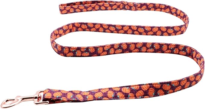 Lionet Paws Dog Leash,Handmade Dog Training Leash Pet Supply