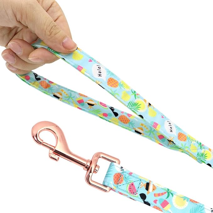 Dog Cat Harness with Leash Yellow Printed Dog Collar Leash Set Personalized Pet Dog Collar Harnesses Walking Leash for Medium Large Dogs S