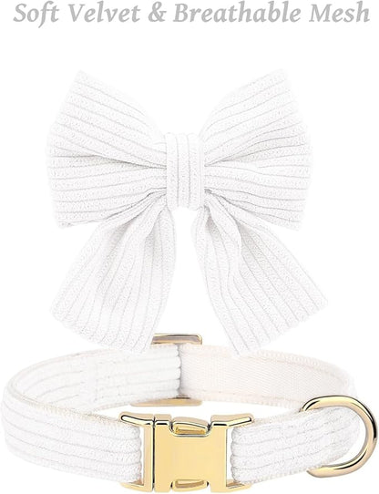 Dog Collar and Leash Set with Bowtie, Girl Dog Collars Metal Buckle Adjustable for Small Medium Dogs (White, M: Neck 13"-22" Leash 5 FT)