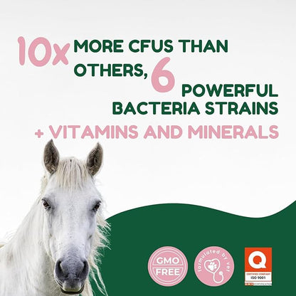 Horse Probiotic Paste – 8 Billion CFU Equine Probiotic with Prebiotics & Vitamins – Hindgut Health, Digestive Balance & Feed Efficiency Support – Pack of 2 / 80CC Each