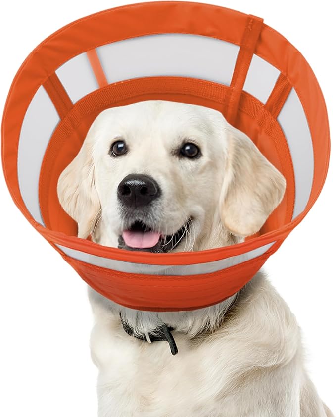 ASENKU Dog Cone Collar, Soft Adjustable Cone for Dogs to Stop Licking, Lightweight Recovery Dog Cone After Surgery, Pet E-Collar for Small, Medium & Large Dogs(Orange, XL)