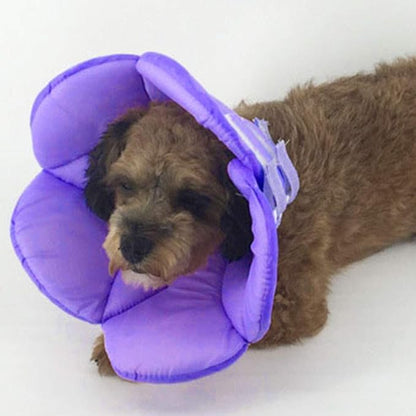 POPETPOP Soft Cat Cone Collar, Cute Flower Recovery Collar After Surgery, Adjustable Anti-Bite Lick Elizabethan Cone for Small Dogs Cats Kittens Pets All-Season Style - Purple, XL