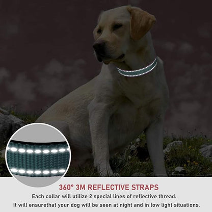 Reflective Dog Collar with Buckle Adjustable Safety Nylon Collars for Small Medium Large Dogs, Grey S