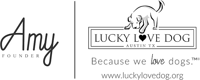 Lucky Love Dog Martingale Dog Collar - Adjustable, No-Slip, Comfortable, Durable, Soft Webbing & Stylish Patterned Collar for Male and Female Dogs Ideal for Training & Walking - Carriebelle, Small