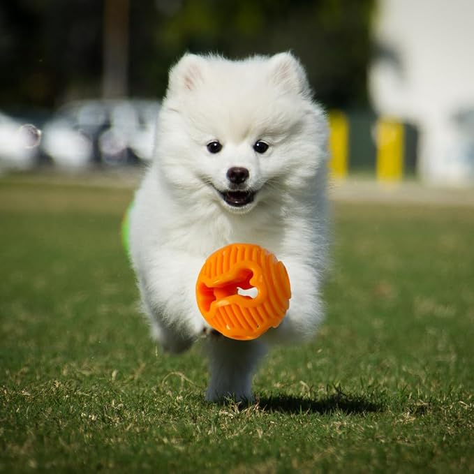 Hank & Harley Dog Toy Treat Ball- Entertain with Food & Treat Dispensing, Fetching and Chewing Toys. Amazing Durability, Dishwasher Safe, BPA Free Non-Toxic Rubber (Ball)