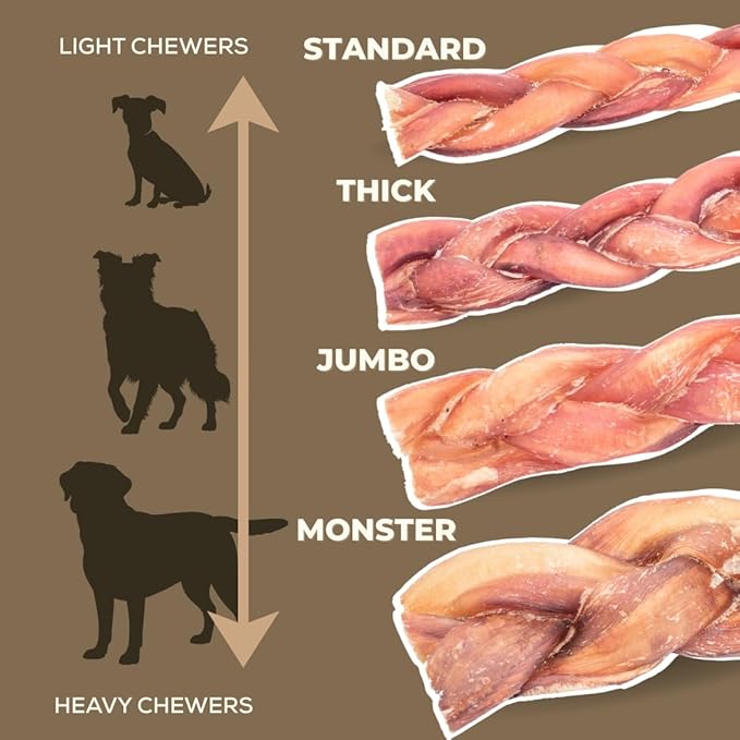 Bully Bunches All Natural 12" Standard Braided Bully Sticks - Odour Free, Rawhide Free, Chemical Free - Safe, Long Lasting Thick Beef Dog Chews - Fully Digestible Treat for Small and Medium Dogs, 3 Pk
