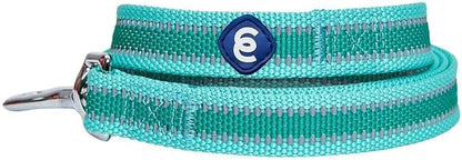 Blueberry Pet Essentials Reflective Back to Basics Matching Dog Harness and Leash Set, Minty Green, Adjustable Harness with 5 ft Leash for Medium Dogs