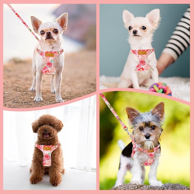 Lukovee Puppy Harness and Leash Set, No Pull Lightweight Soft Suede Adjustable Pet Harness Vest with Snap Buckle for Puppy Small and Medium Size Dog (Pink Rose, XXS)