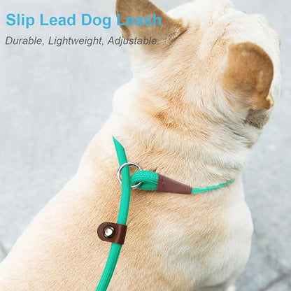 MayPaw Slip Lead Control Leash for Dogs No Pull, 13+ Colors Classic Dog Lead 7 FT Pet Slip Leash, 1/4” Rope Leashes for Small Medium Animals (7ft*1/4", Turquoise)