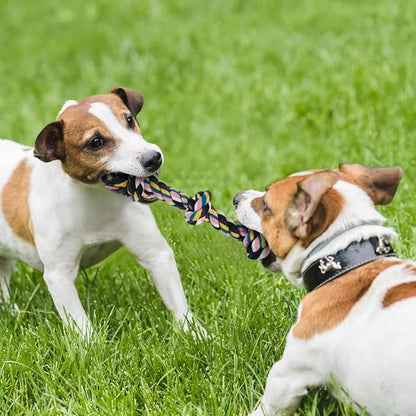 Cutiful Dog Toys for Aggressive Chewers Large Medium Breed, Indestructible Dog Toothbrush Chew Toys, Squeaky Interactive Tough Extremely Durable, Dogs Toys to Keep Them Busy