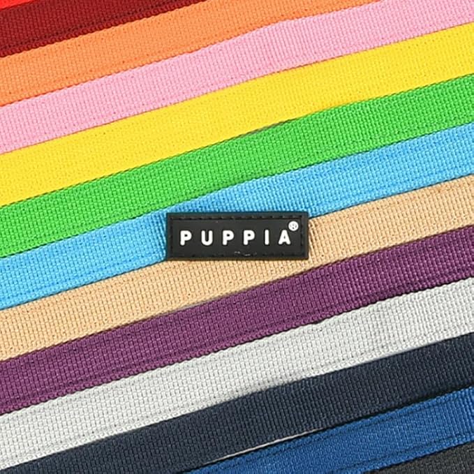 Puppia Two Tone Dog Lead Strong Durable Comfortable Grip Walking Training Leash for Small & Medium Dog, LT.Grey, Large