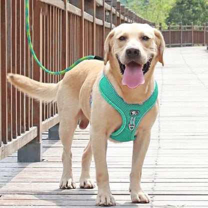 BTINESFUL 3FT Dog Tie Down, Nylon Rope Short Dog Tether Indoor Training Safety Vehicle Tether for Large Medium Strong Puppy