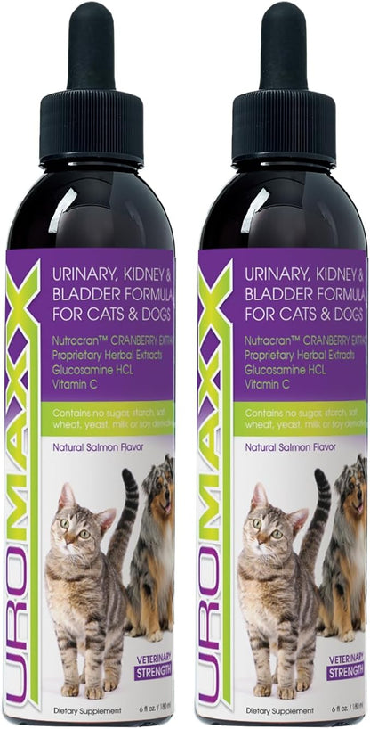 UroMAXX, Cat & Dog Urinary Tract Treatment, Bladder & Kidney Support for Dogs and Cats, Powerful Yet Gentle Pet Care, with Liquid Cranberry & Glucosamine, Salmon Flavor, 6 oz Bottle, 2 Pack