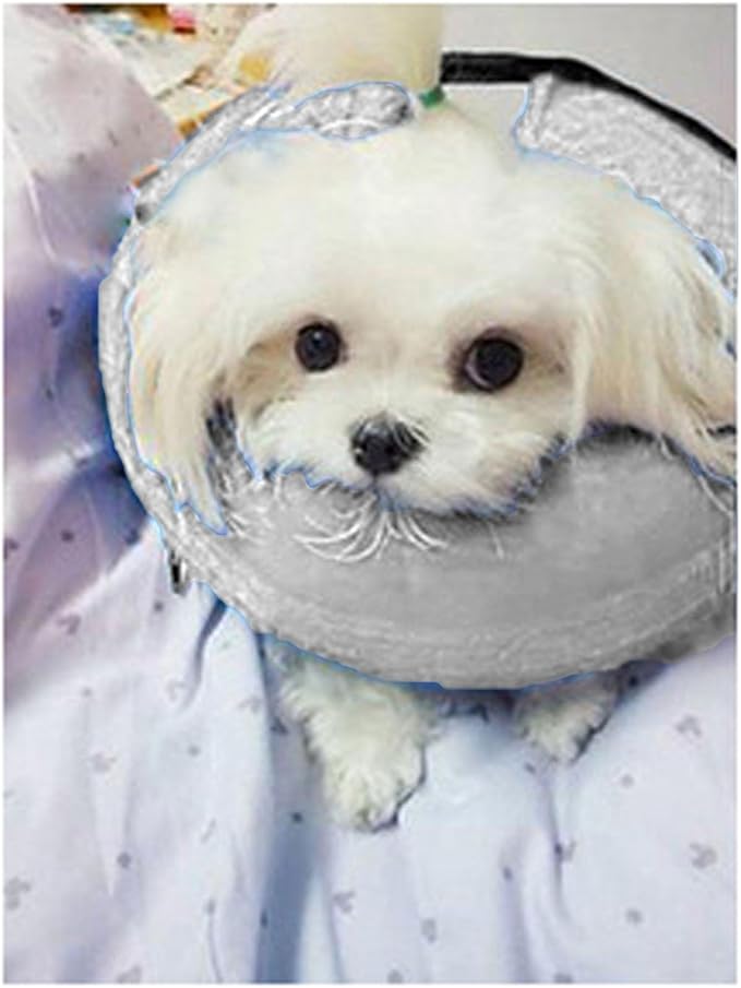 Inflatable Dog Neck Collar PVC Soft Warm Comfortable Protective Recovery Cone for Post Surgery Skin Itching Pets (Gray)