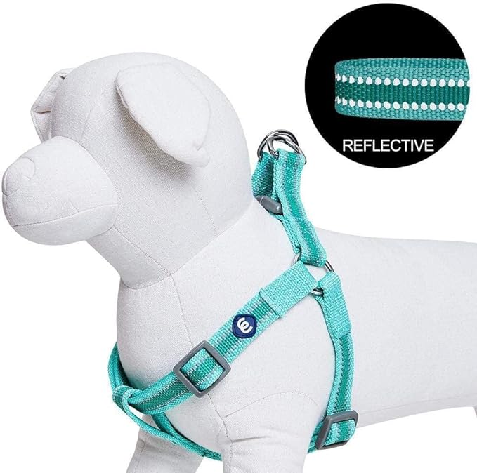 Blueberry Pet Essentials Reflective Back to Basics Matching Dog Harness and Leash Set, Minty Green, Adjustable Harness with 5 ft Leash for Medium Dogs
