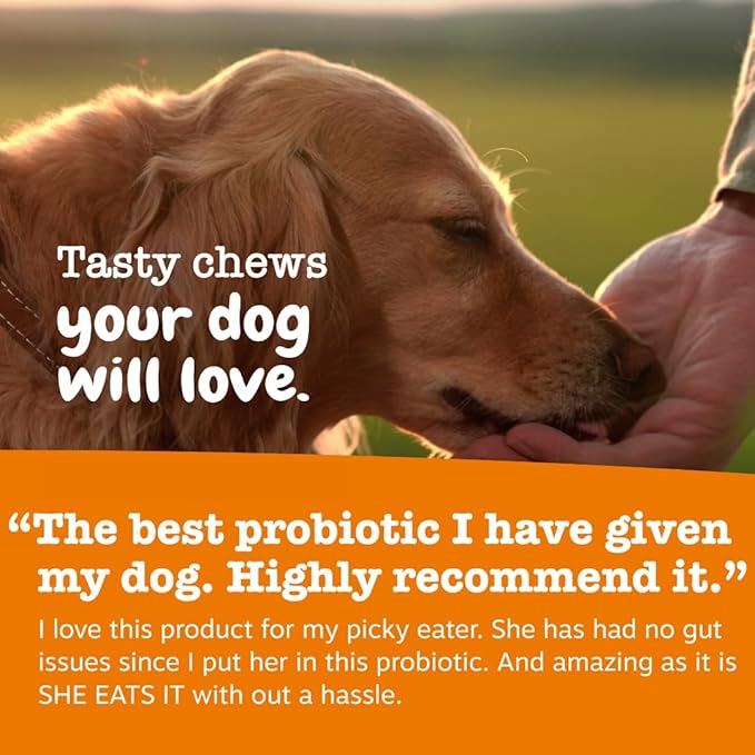 Zesty Paws Probiotics for Dogs - Digestive Enzymes for Gut Flora, Digestive Health, Diarrhea & Bowel Support - Clinically Studied DE111 - Dog Supplement Soft Chew for Pet Immune System - Adv, 90ct