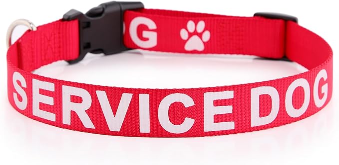Plutus Pet Service Dog Collar,Printed in Large Letters on Nylon Webbing,Prevents Accidents by Warning Others of Your Dog in Advance,Two Colors,Four Sizes,Neck 8-12 inch,Extra Small,Red