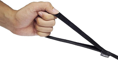 Strong Durable Nylon Dog Training Leash, 1 Inch Wide Traction Rope, 6 ft Long, for Small and Medium Dog (Black, 6 Feet)