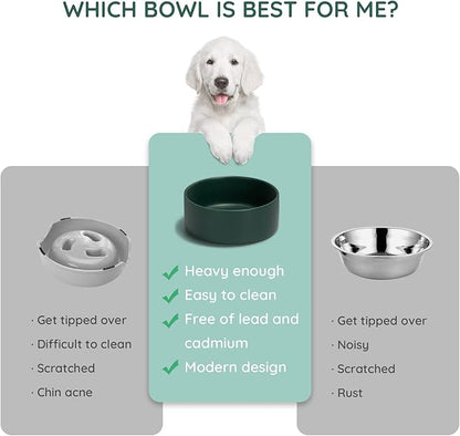 SPUNKYJUNKY 60OZ Ceramic Dog and Cat Bowl, Modern Cute Weighted Food Water Bowl for Replacement Green (1 Pack)