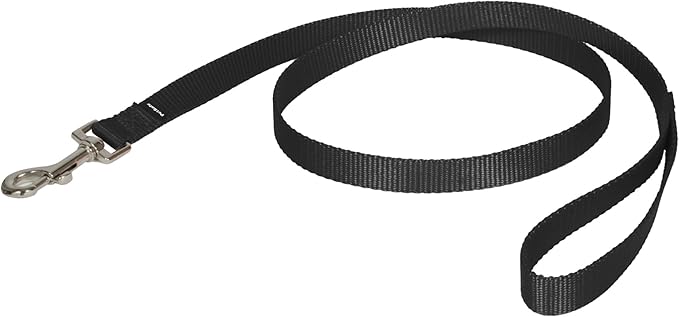 PetSafe Nylon Leash - Chew-Resistant Cat & Dog Behavioral Training Leash - Compatible with Easy-Walk Harness - Traditional-Style Reliable Pet Lead with a Padded Hand Wrap - 3/4" x 4' - Black