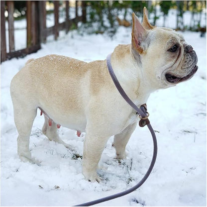 BTINESFUL 7ft Slip Lead Dog Leash, 1/4" Nylon Rope Dog Training Leash for Small Medium Dogs Outdoor No-Pull Walking, Behavior Training, 14+ Colors