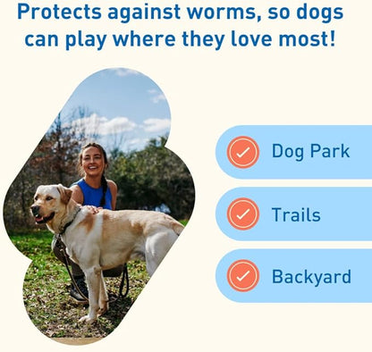 Interceptor Plus Prevention for Heartworm + 4 Other Worms for Dogs 50.1-100 lbs. | 6 Chews, 6-Month Supply