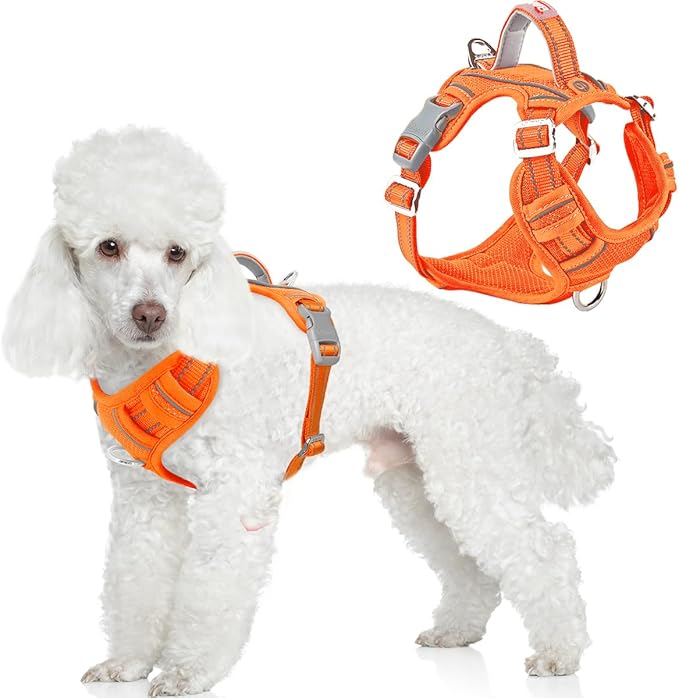 BARKBAY Dog Harness No Pull with ID Tag Pocket - Heavy Duty, Reflective, Easy Control for Large Dogs(Orange,S)