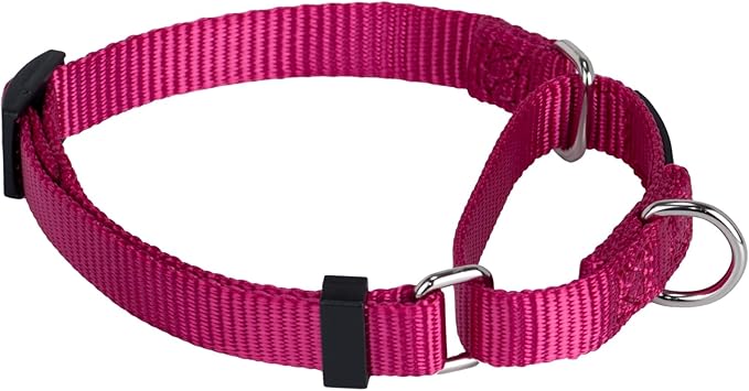 Hyhug Martingale Collar for Dogs Small Pink |Escape - Proof Heavy Duty Nylon Durable No Buckle, Ideal for Training & Daily Walks
