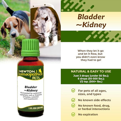 Newton Homeopathics Pets Bladder~Kidney - 1 Oz Liquid